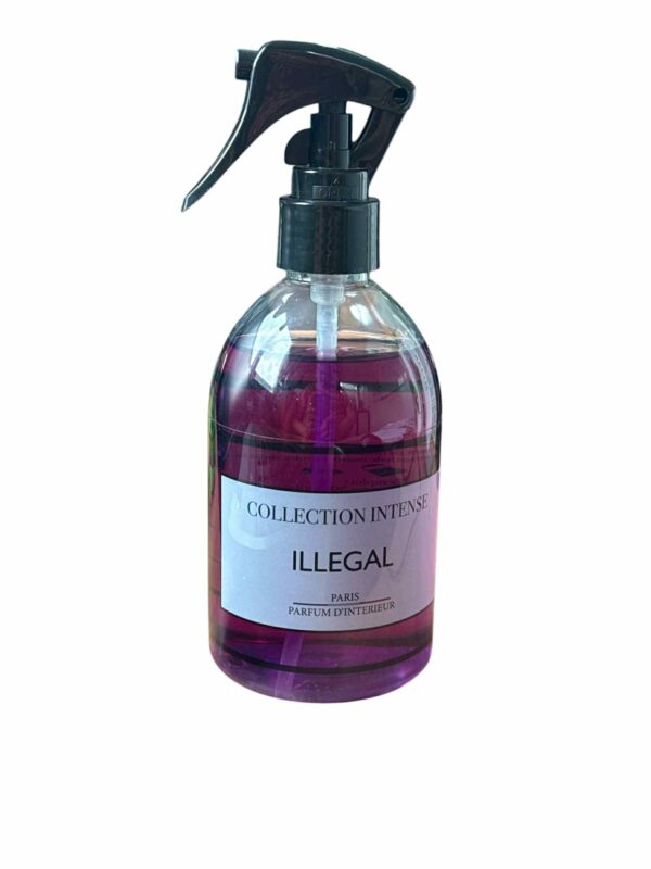 SPRAY D'INTERIEUR ILLEGAL