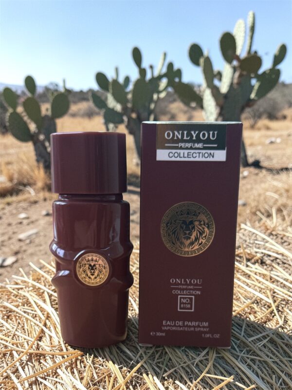 EAU DE PARFUM HOMME - 30 ML- MARRON